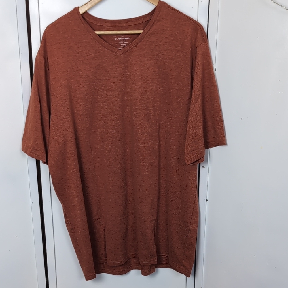 Men's V-Neck T-Shirt in Rust by [Brand]